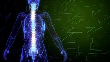 花粉症で自律神経が乱れ、肩こりにつながるイメージ