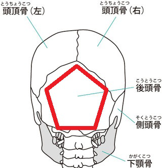 目の疲れ、眼精疲労 目がかすむ 後頭骨のゆがみ