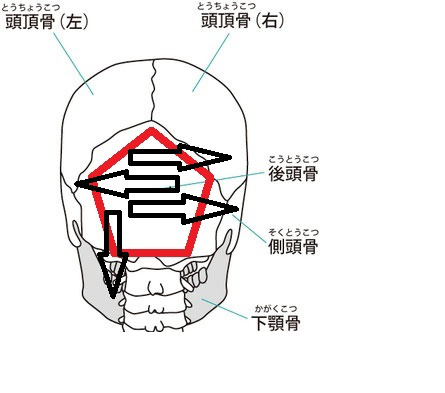 高崎市腰痛整体、後頭骨と頭、肩、腰、膝のつながり