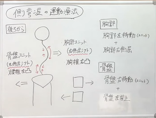 側弯症で起こる全身連鎖（図解イメージ）