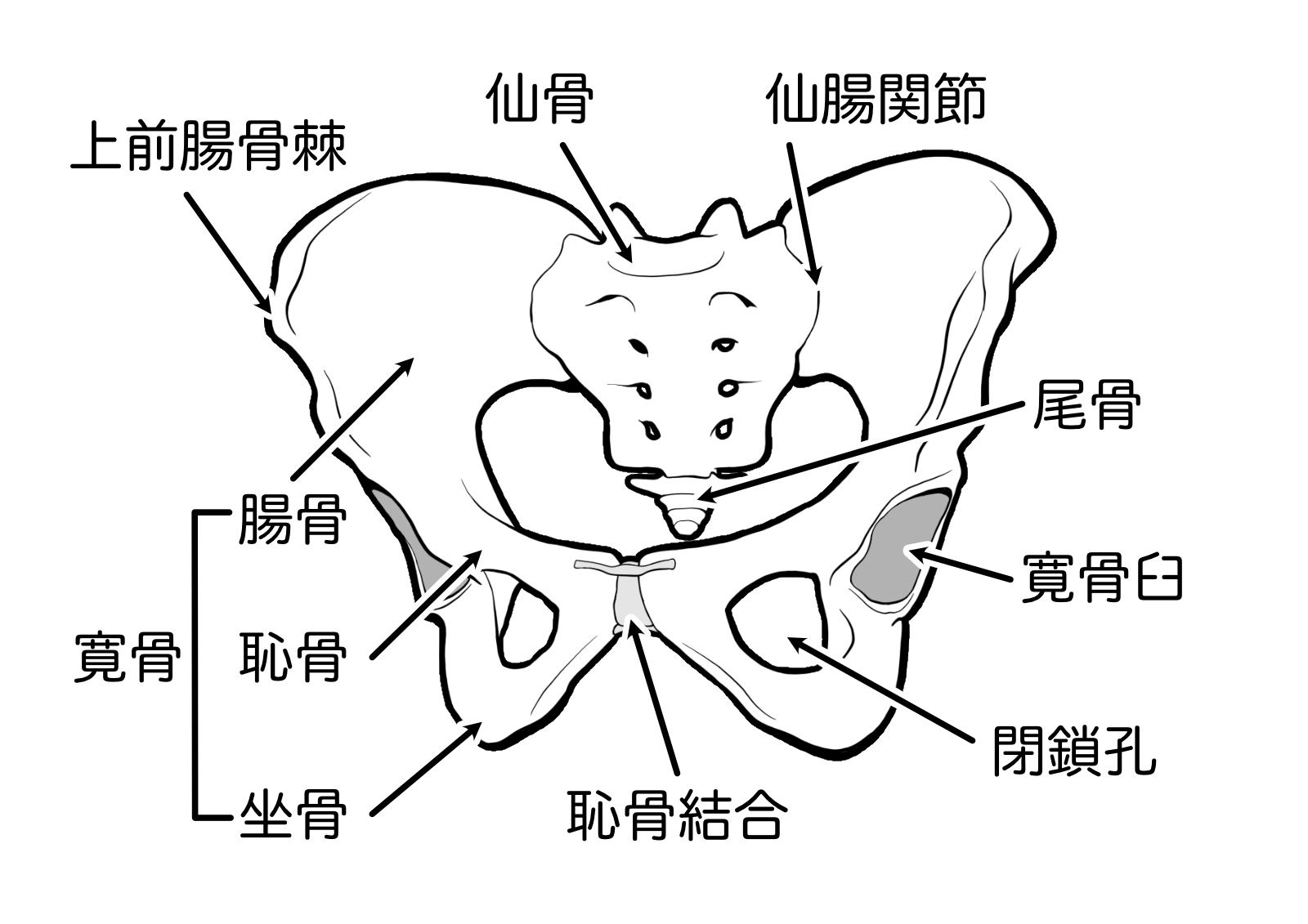 仙骨と子宮の深い関係